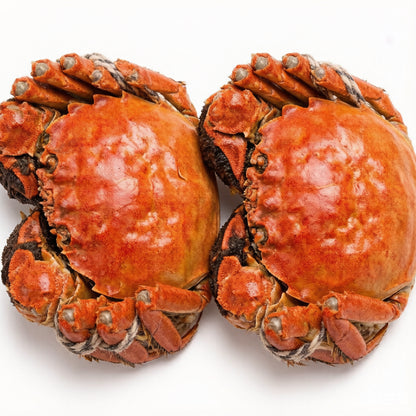 Hairy Crab