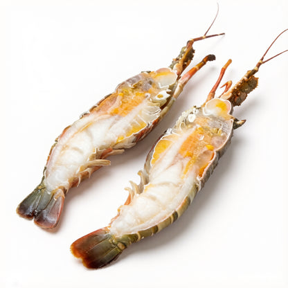 Lobster Tail
