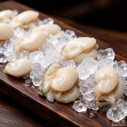 Razor Clam