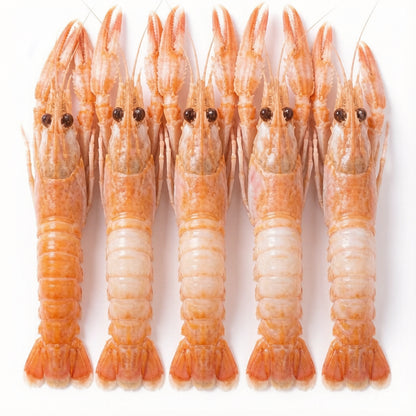Langoustine (Scampi)