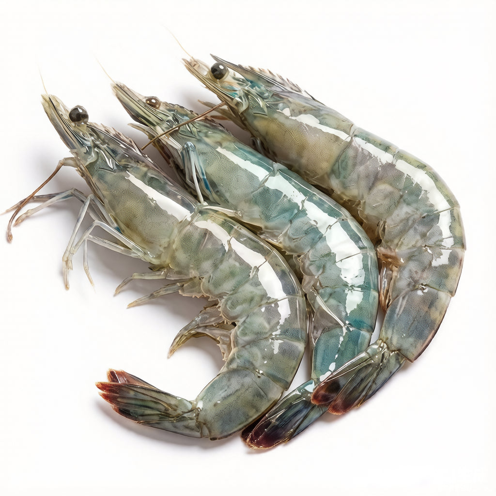 Black Tiger Prawns